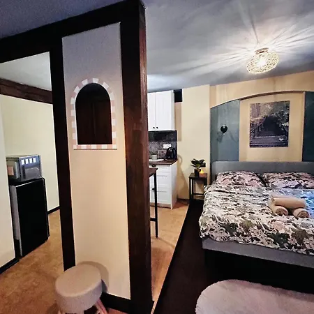 Apartamento Forest Loft - Nr 6 Poznań